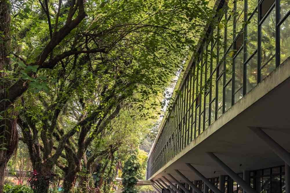 Parque Ibirapuera em São Paulo