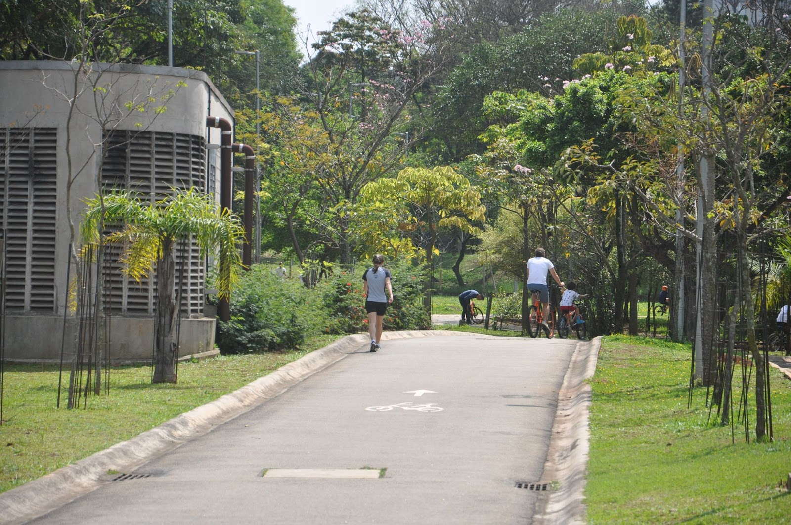 Caminho arborizado no parque com pessoas caminhando e pedalando em dia ensolarado, ideal para quem busca lazer ao ar livre e contato com a natureza.